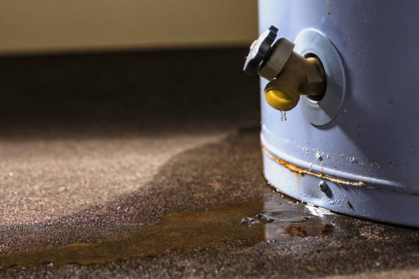 Best Water damage contractors near me  in Tyndall, SD