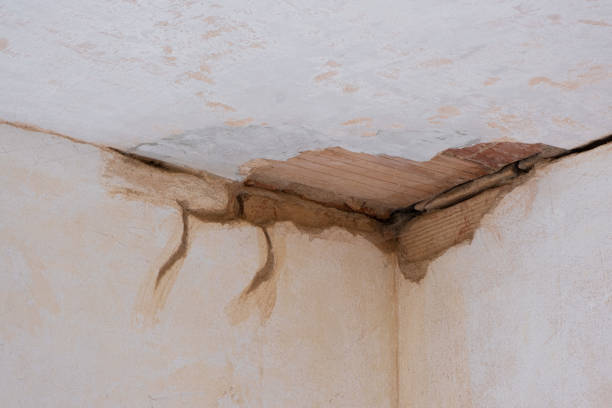 Best Water damage cleanup near me  in Tyndall, SD