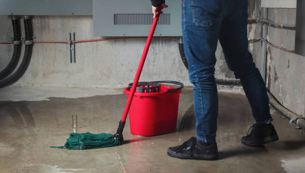 Best Ceiling water damage repair  in Tyndall, SD
