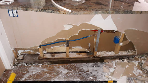 Best Water damage restoration process  in Tyndall, SD