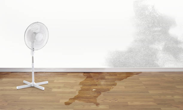 Reliable SD Water damage restoration Solutions