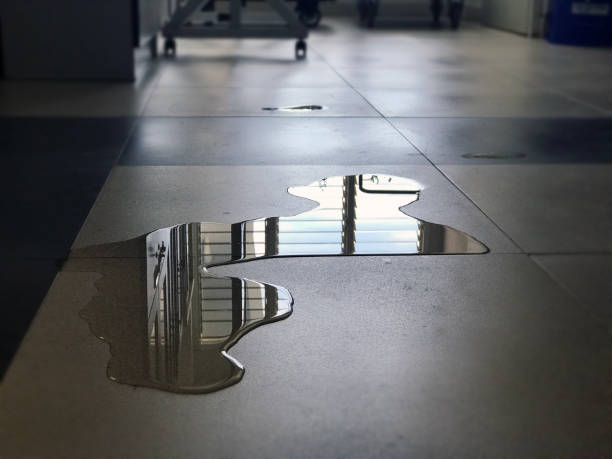 Best Local water damage restoration  in Tyndall, SD