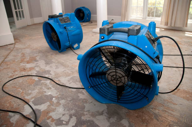 Best Fire Damage Restoration  in Tyndall, SD