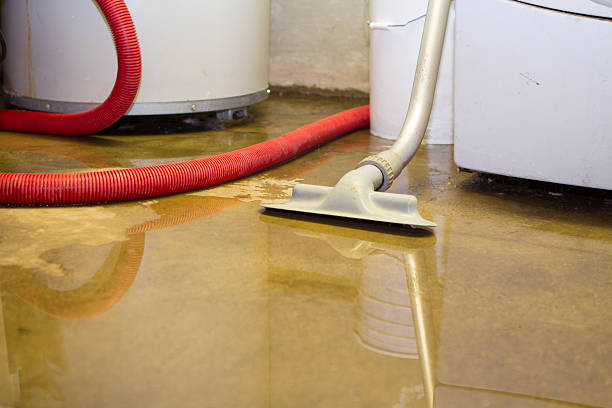 Best Commercial water damage restoration  in Tyndall, SD