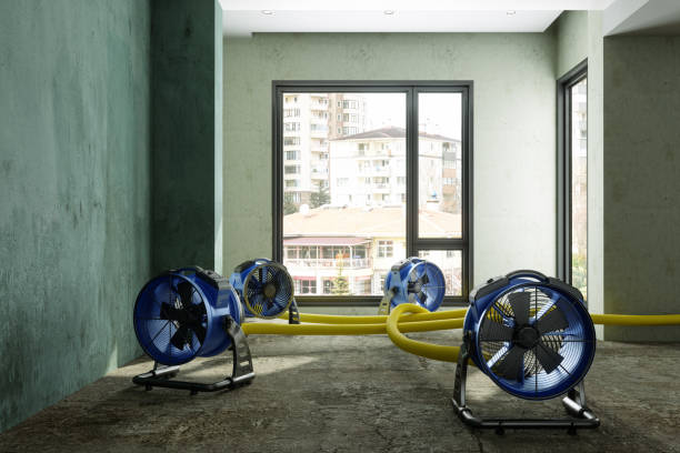Best 24/7 water damage repair  in Tyndall, SD